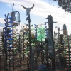 BOTTLE TREES