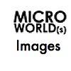 Microworld(s) Images