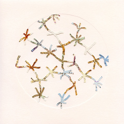 Network