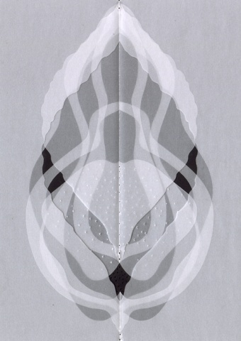 Untitled (Bellows)