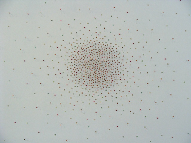 Disperse