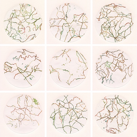 map collage made with maps and acrylic from the Transplant Series by Shannon Rankin