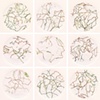Transplant Series