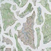 Artifacts (detail)
