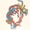 Untitled (Bloom)