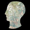 Untitled (Head - Left)