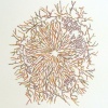 Untitled (Lobule)
