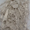 Untitled (Dissect)