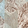 Frontier (detail)