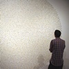 Germinate (5000 Seeds)