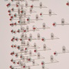 Convergence (detail)