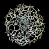 Tangled