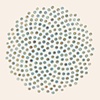 Pollinate