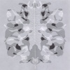 Vellum