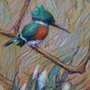 Study for still life Kingfisher
