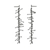 E branch 01