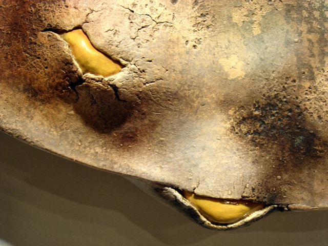 Suncoast Digest-ed (Detail)
