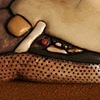 00:00:00:12273196 (detail)
