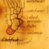 Footprint Blueprint 3