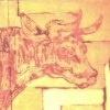 SAD COW