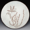 Paleobotany Bowl