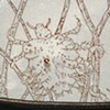 Crabs: Papillon d'amour