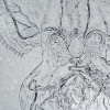 Columba livia bowl (detail)