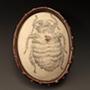 Bed Bug Brooch