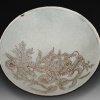 Phengodes Bowl