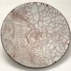Damselfly/Mosquito Bowl