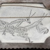 Praying Mantis Brooch (Back)