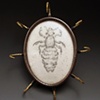 Mammal Louse Brooch