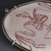 Bat Fossil Brooch