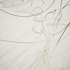 White Shadows (Detail)
