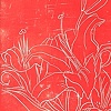 Gift Lillies