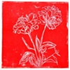 Peonies