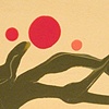 Cherry blossom