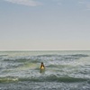 underwater photographer