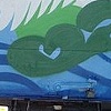 Bam Swan
