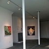 CURATORIAL