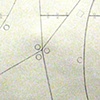 Preliminary sketch for "Radiation Shield Cross Section 12-A"