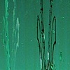 2008 Work