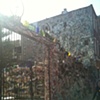 Opening: Philadelphia's Magic Gardens