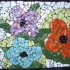 Impatiens 