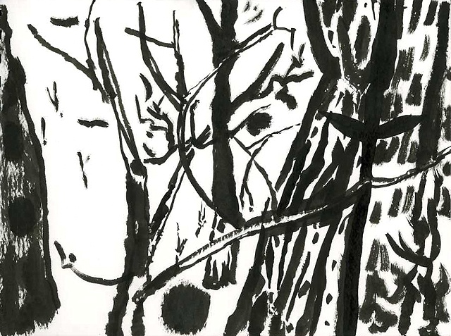 Cold Snowy Woods
