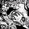 Wild Chase (Featuring Birds)