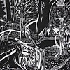 Forests Begin To Rise Up