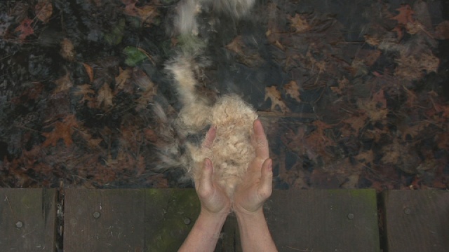 Carrie Simulating Wind