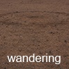 wandering