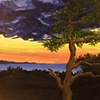 Acrylic Paintings